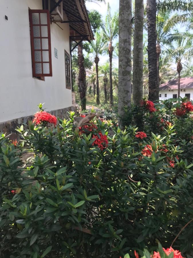 Palm Garden House Hotel Quang Tri ภายนอก รูปภาพ