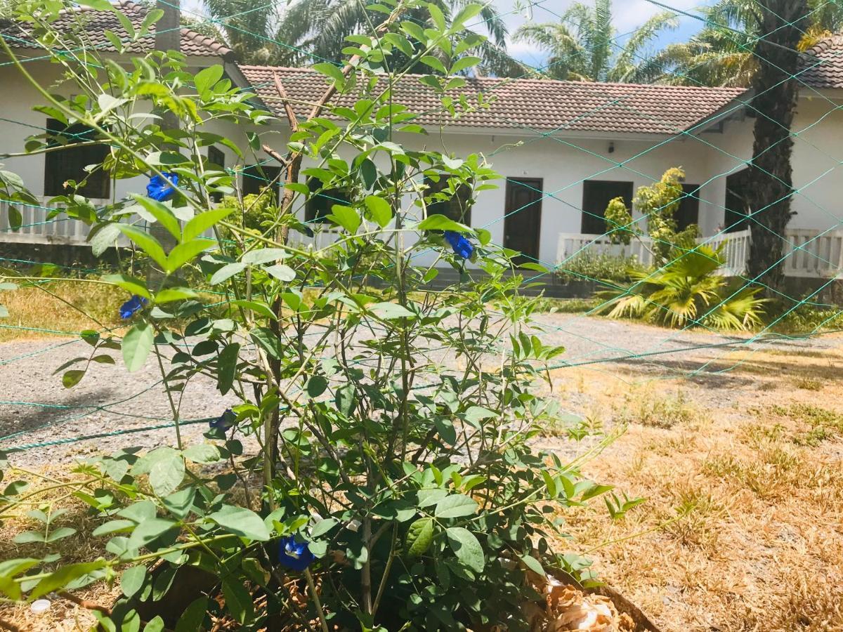 Palm Garden House Hotel Quang Tri ภายนอก รูปภาพ