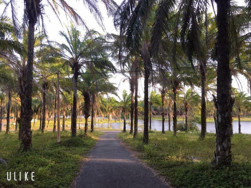 Palm Garden House Hotel Quang Tri ภายนอก รูปภาพ